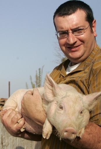 イスラム教の国、モロッコで「養豚業」がブーム