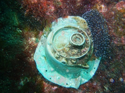 第2次大戦中に撃沈されたUボートの残骸か、スペイン沖で発見