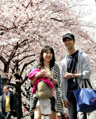 桜満開、花見シーズン到来