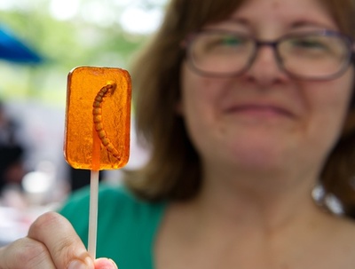 好奇心くすぐる？昆虫食促進イベント 米ワシントン