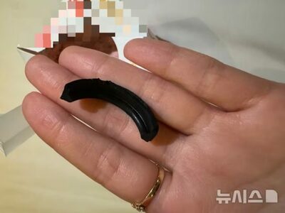 アイスクリームを食べていたら「黒い異物」…韓国・機械の部品が混入