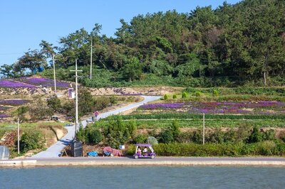 物価高でも旅行をあきらめない…韓国の「コスパ良い」旅行地6カ所 (6) – KOREA WAVE