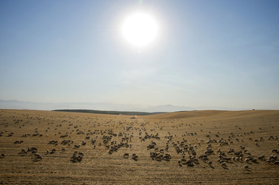 地下水枯渇、世界の一部乾燥地域で今後数十年に 研究