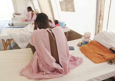 コレラ菌の進化の解明に光、19世紀の患者の腸使った研究