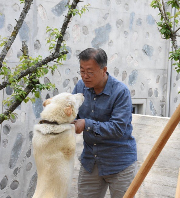 ムン・ジェイン前大統領は自宅で愛犬とともに時間を過ごしている（写真＝文在寅氏秘書室）(c)MONEYTODAY