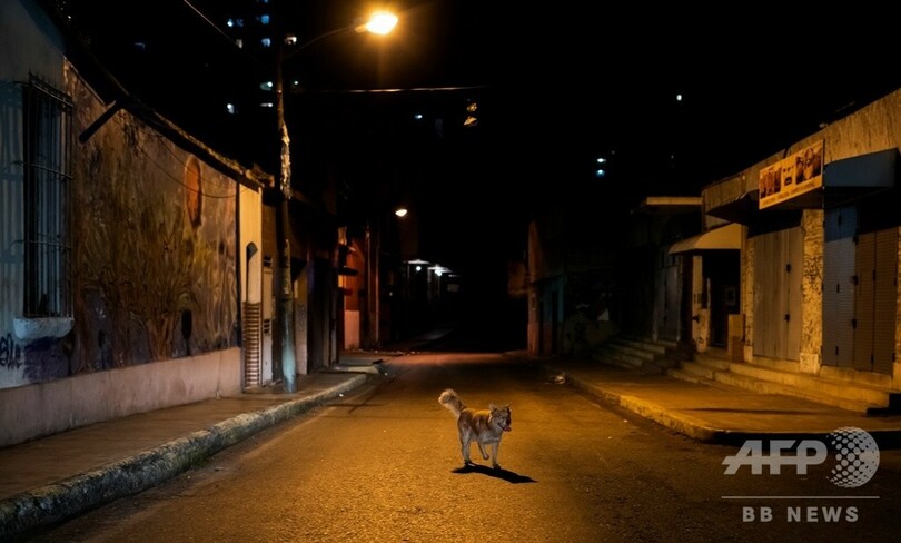 【記者コラム】ベネズエラを生き抜く