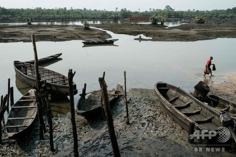 ニジェール・デルタの石油汚染、現在も除去進まず ナイジェリア