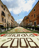 イタリア・ローマ（Rome）南部にあるジェンツァーノ（Genzano）で開催された、花びらじゅうたんの祭り「infiorata（インフィオラータ）」に出品された作品（2008年6月15日撮影）。(c)AFP/Tiziana Fabi