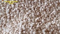 イタリアで押収された、イスラム国（IS）がシリアで製造した錠剤のアンフェタミン。伊財務警察ナポリ支部提供の動画より（撮影日不明、2020年7月1日入手）。(c)AFP PHOTO / GUARDIA DI FINANZA / HANDOUT