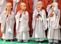 韓国・ソウル（Seoul）の曹渓寺（Chogye Temple）で3日、釈迦（しゃか）の誕生日を前に、子どもたちが頭を丸める行事が開かれた。韓国での今年の釈迦誕生日は、満月の17日に祝われる（2013年5月3日撮影）。(c)AFP/KIM JAE-HWAN