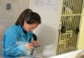 仏中部サンテニャンシュルシェールのボーバル動物園でパンダの「歓歓」が出産する間、待機している中国の専門家。奥は雄の「圓仔」（2017年8月4日撮影）。(c)AFP/GUILLAUME SOUVANT
