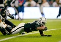 16NFL第11週、オークランド・レイダース対ヒューストン・テキサンズ。タッチダウンを決めるオークランド・レイダースのジャレン・リチャード（2016年11月21日撮影）。(c)AFP/ALFREDO ESTRELLA