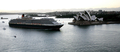 2008年2月23日、オーストラリアのシドニー（Sydney）に到着したクイーン・ビクトリア号（The Queen Victoria）。(c)AFP