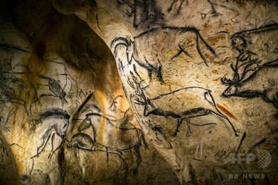 世界最古の洞窟壁画を再現、南仏ショーベ洞窟の実物大複製が完成 写真