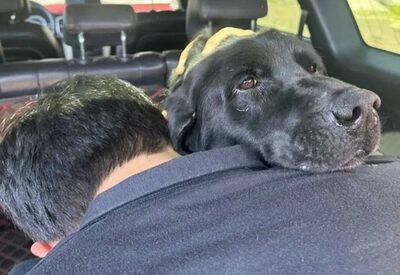 韓国の警察犬「レッド」、涙の引退…8年間の任務に幕、その別れに仲間たちが号泣