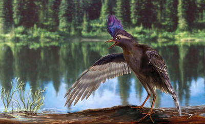 現生鳥類への進化、通説より600万年早かった可能性 中国研究