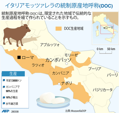【図解】モッツァレラチーズの統制生産地