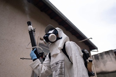 ブラジル各地でデング熱流行 カーニバル控えリオでは緊急事態宣言