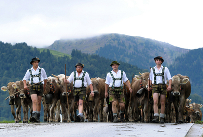 アルプス名物「カウベル」は騒音、農家に罰金