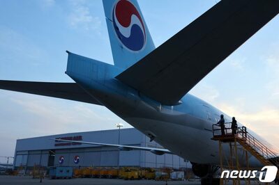 “合併大韓航空”シェア80％超え…米国の審査、欧州より厳しく