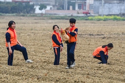 中国の小中学校で体育の授業に新変化 鶏捕りも登場
