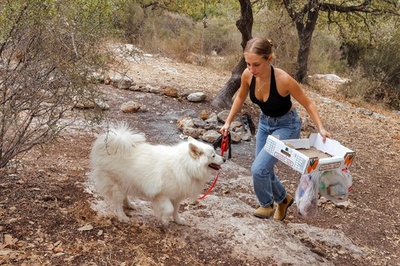 ごみを拾って仮想通貨ゲット、商品と交換 ゲーム感覚のイスラエル新アプリ