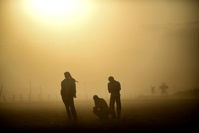 大量絶滅、全生物種が危機的状況に 研究 
