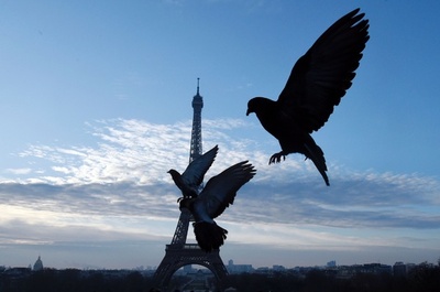 巨鳥がエッフェル塔を襲撃？仏パリ