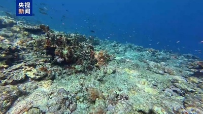 中国 「黄岩島サンゴ礁生態調査報告」を発表