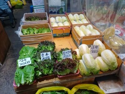 サンチュ、焼き肉に欠かせないのに…韓国で大きく値上がり