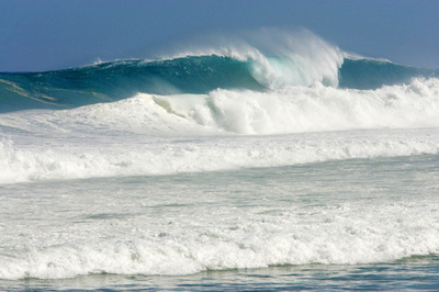 「死のトリオ」、海へのリスクを科学者が警告