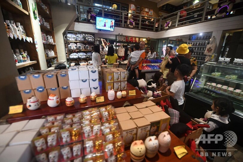 アモイの「猫街」へいらっしゃい