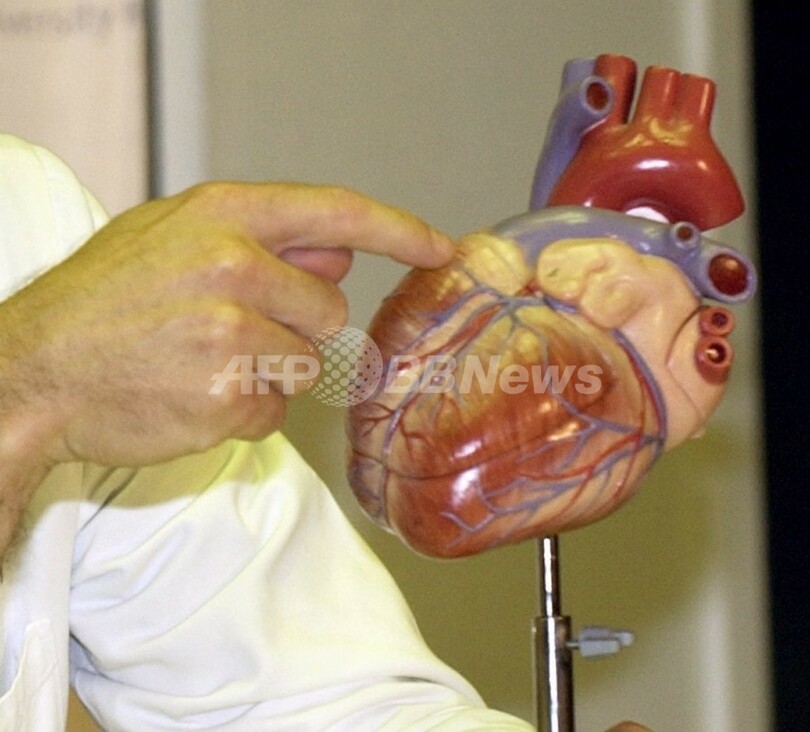 高齢心臓病患者の皮膚から心臓細胞 ラットで移植に成功 写真1枚 国際ニュース Afpbb News