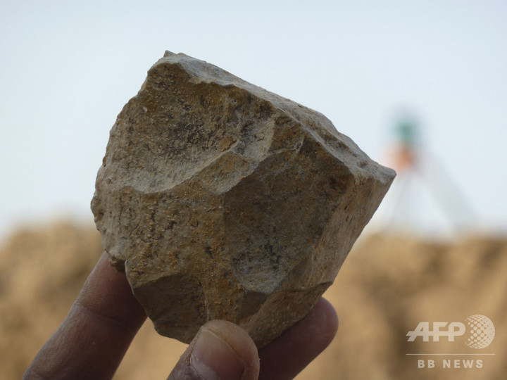 東アフリカ人類発祥説に異議、アルジェリアで240万年前の石器発見 東アフリカ人類発祥説に異議、アルジェリアで240万年前の石器発見