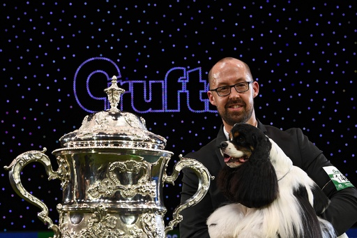 img_d4d074eef324f5274043d300d7