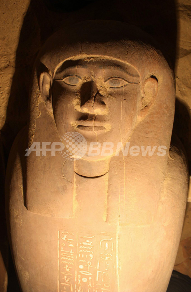 古代エジプト王朝の正確な年代を解明、植物を炭素年代測定法で調査 古代エジプト王朝の正確な年代を解明、植物を炭素年代測定法で調査
