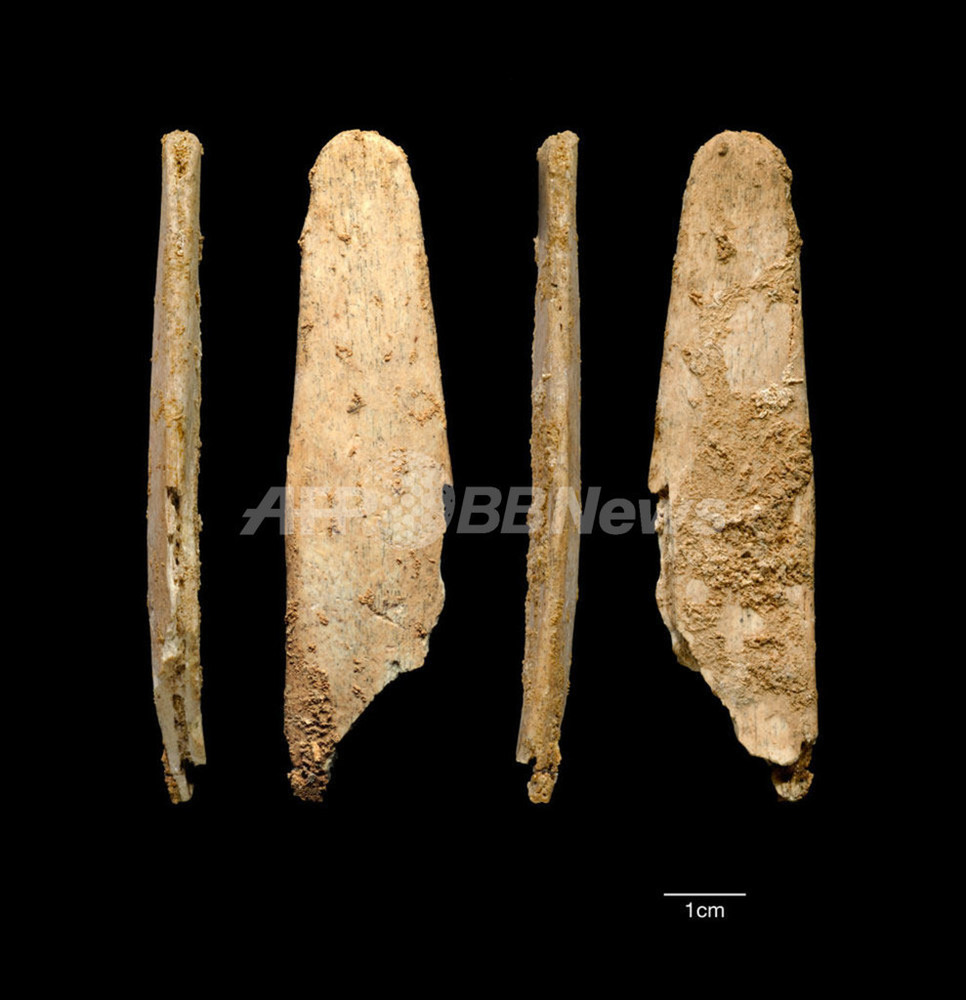 ネアンデルタール人の新たな道具発見、皮革加工に使用 写真1枚 国際