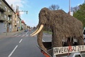 チェコ南東部ウヘルスケーフラジシュチェ（Uherske Hradiste）で、街行く人々の注目を浴びながら博物館に運ばれるマンモスの実物大レプリカ（2013年10月23日撮影）。(c)AFP/RADEK MICA