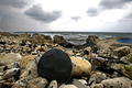 2007年8月1日、重油で汚染されたレバノンのアムシート（Amchit）海岸の岩。(c)AFP/MARWAN NAAMANI