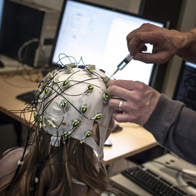 脳信号で大衆の好みを予測、広告への応用も 米研究