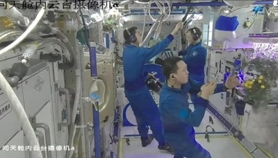 中国の宇宙ステーションで「宇宙トマト」が豊作