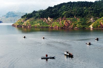 三峡シラウオ漁始まる、重慶