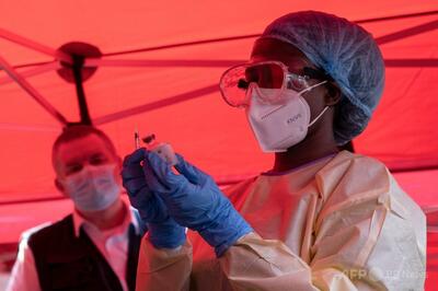 エボラ感染のサル、錠剤で治癒 人への応用期待 研究