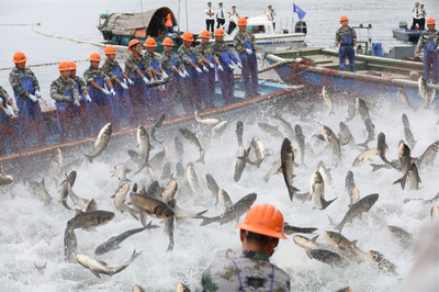 中国・今年上半期の漁獲量は18%減少　休漁期間延長が影響