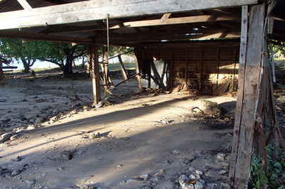 ソロモン諸島地震、津波被災地の救援急ぐ