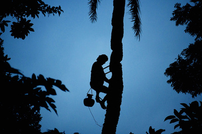 【今日の1枚】何する人ぞ？ シルエットは語る インド