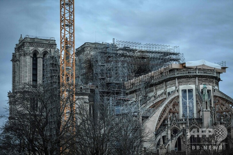 ノートルダム大聖堂の屋根は木材で再建するべき、仏建築家団体