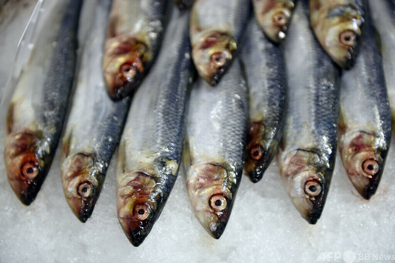 ボツリヌス症で女性死亡、瓶詰めイワシ原因か 仏