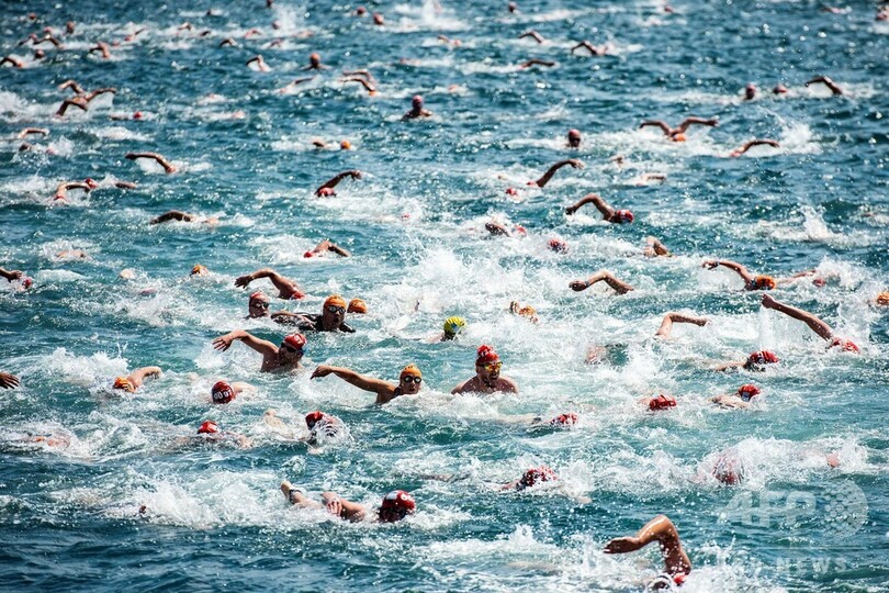 トルコ・ボスポラス海峡で水泳大会、2400人が対岸目指す