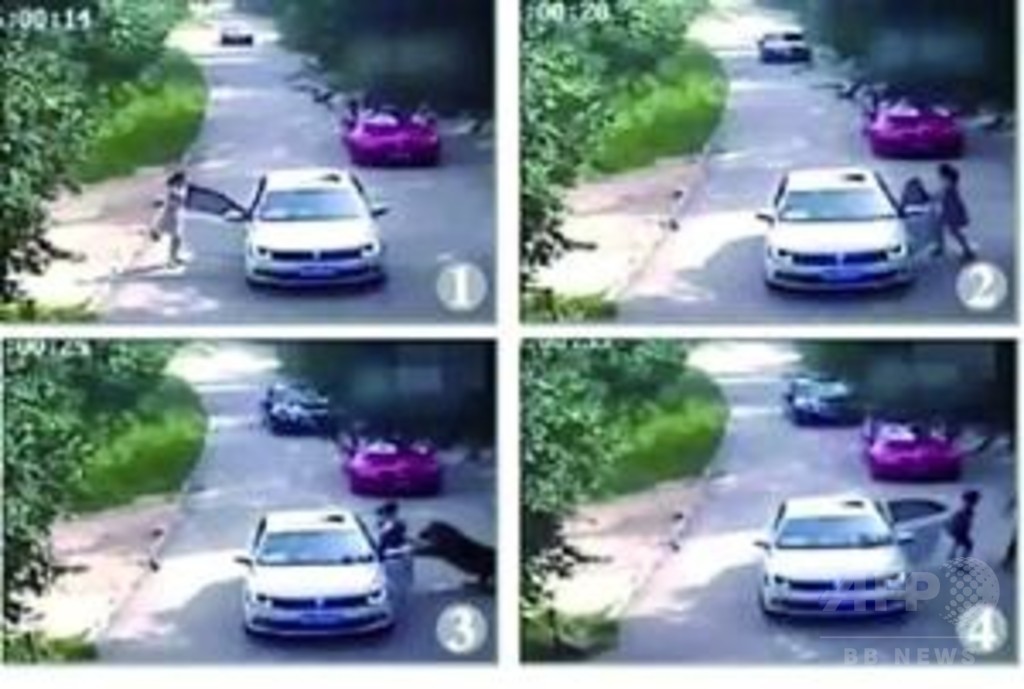 北京のサファリパーク死傷事故、園側に責任無し 被害者側の賠償請求に対し延慶法院 北京のサファリパーク死傷事故、園側に責任無し 被害者側の賠償請求に対し延慶法院